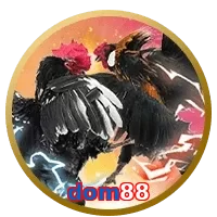 dom88